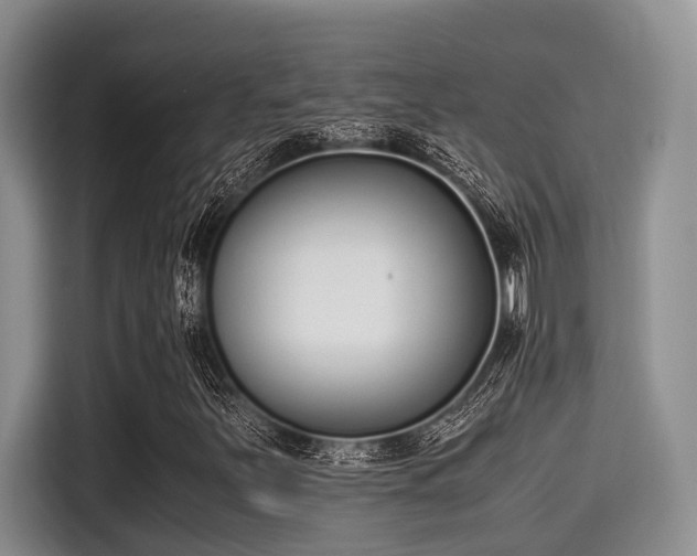 X0000115351251200911101129