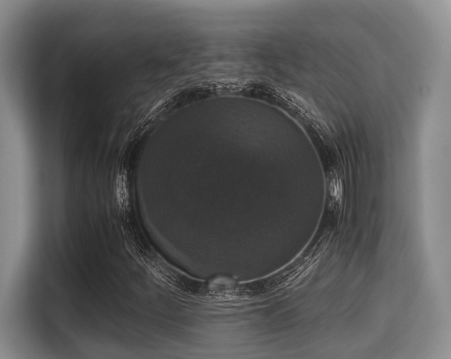 X0000115351252200911101129