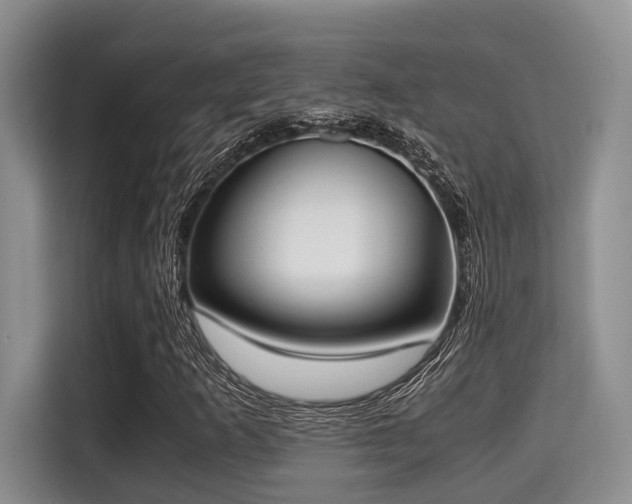 X0000115351253200911101129