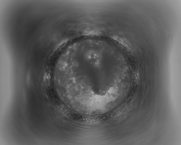 X0000115351254200911101129