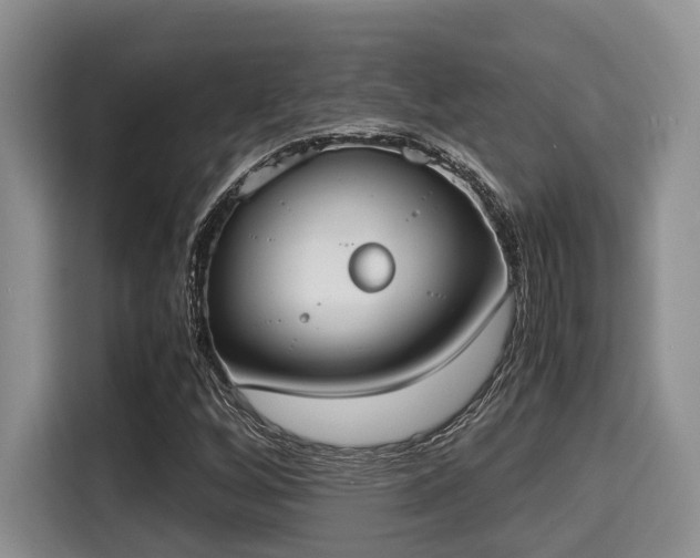 X0000115351256200911101129