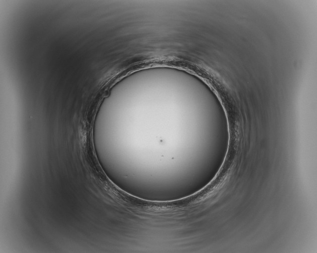 X0000115351257200911101129