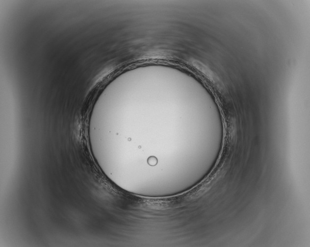 X0000115351258200911101129