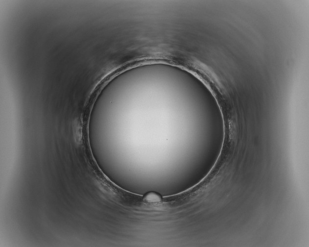 X0000115351260200911101129