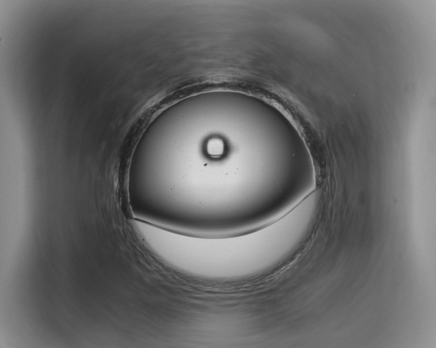 X0000115351261200911101129
