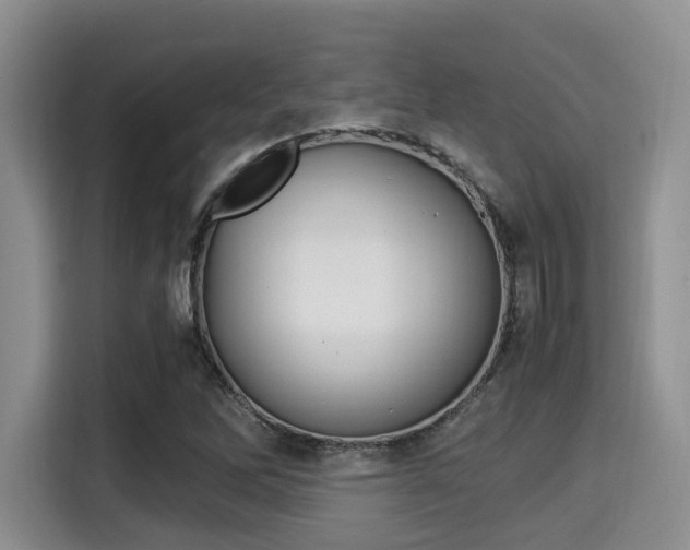 X0000115351262200911101129