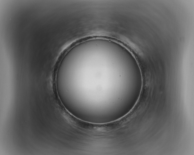 X0000115351264200911101129