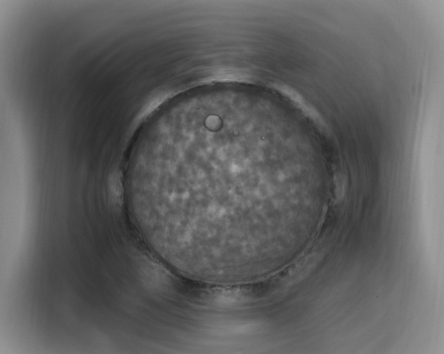 X0000115351266200911101129
