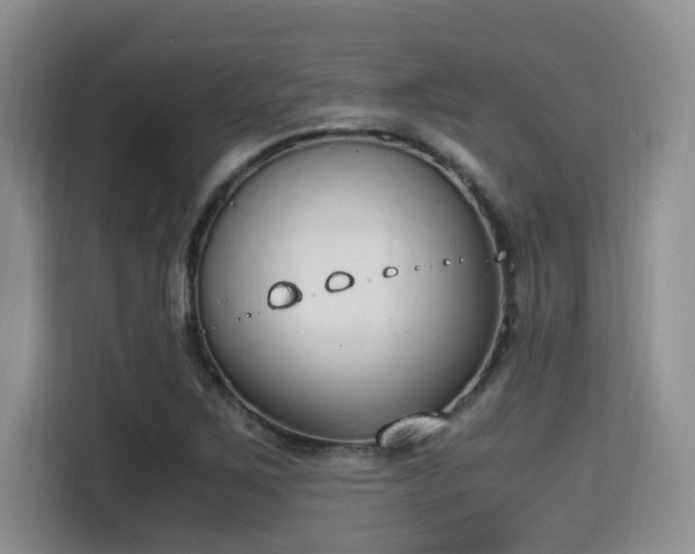 X0000115351267200911101129