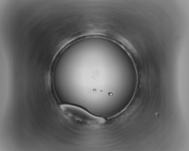 X0000115351268200911101129