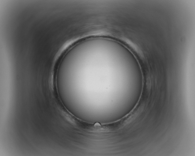 X0000115351270200911101129