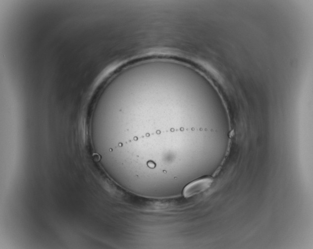 X0000115351271200911101129
