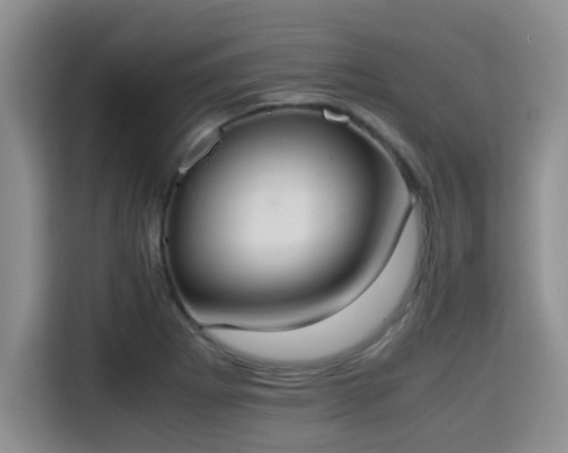 X0000115351273200911101129