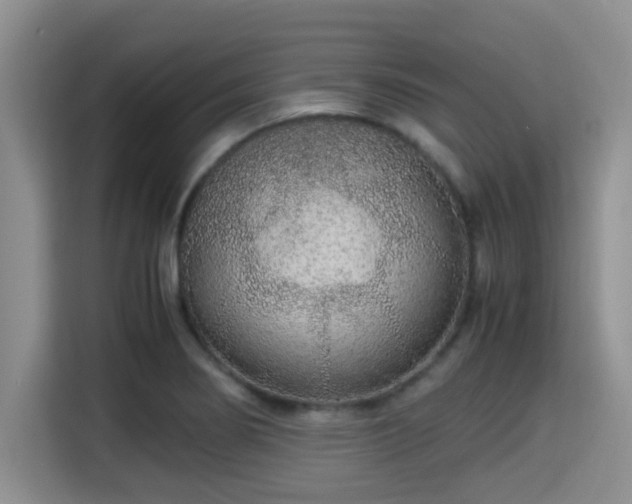 X0000115351274200911101129