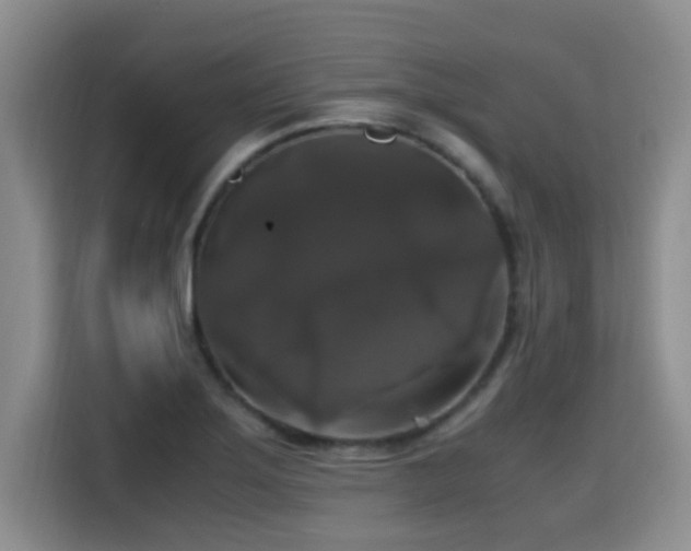 X0000115351275200911101129