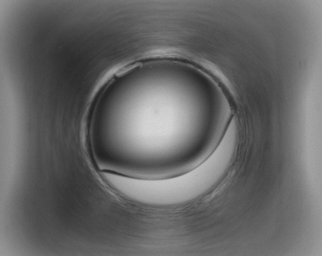 X0000115351277200911101129