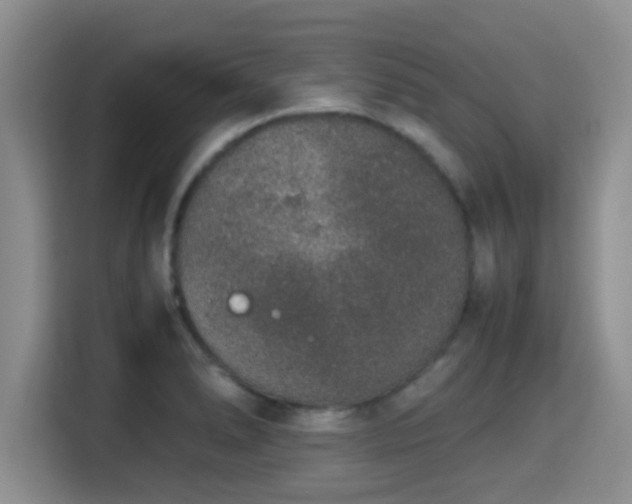 X0000115351278200911101129