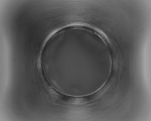 X0000115351279200911101129