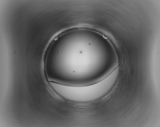 X0000115351280200911101129