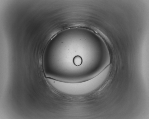 X0000115351281200911101129