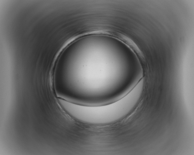X0000115351284200911101129