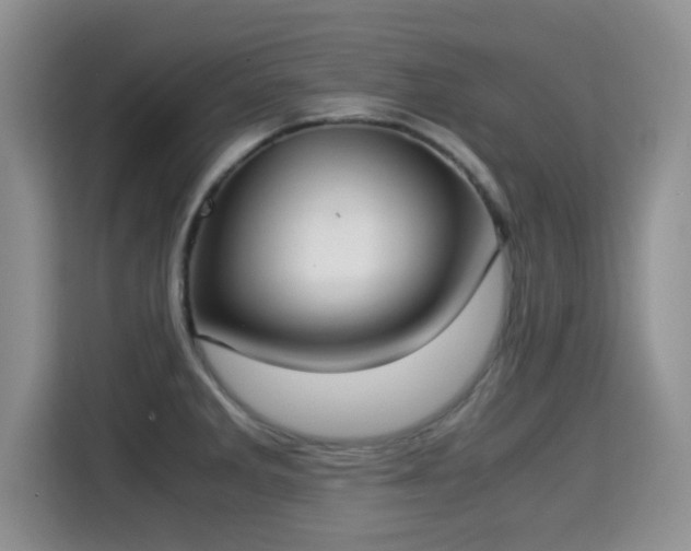 X0000115351285200911101129