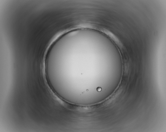 X0000115351286200911101128
