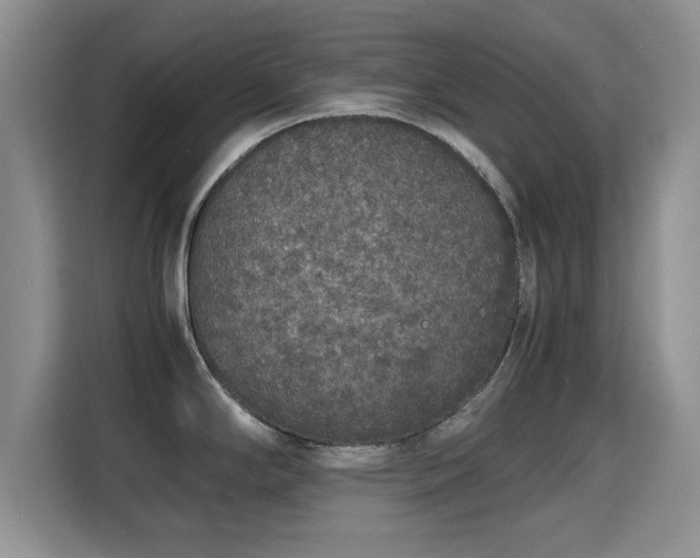 X0000115351294200911101128