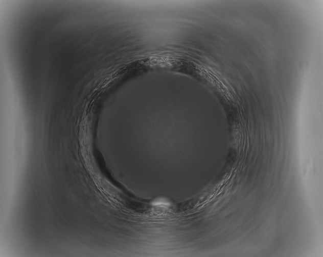 X0000115351297200911101128