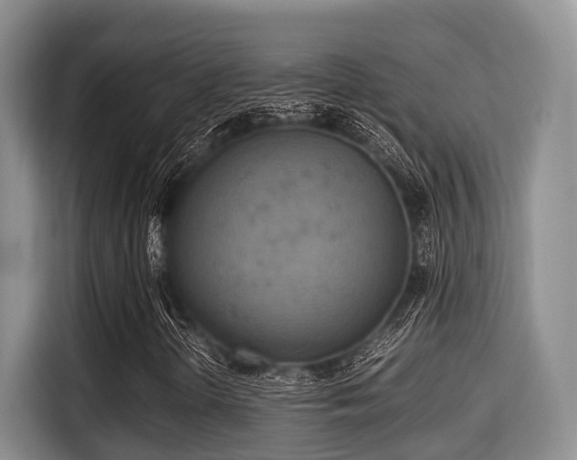X0000115351298200911101128