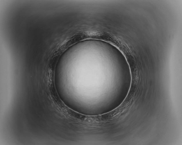 X0000115351301200911101128
