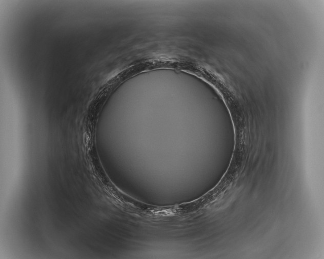 X0000115351303200911101128