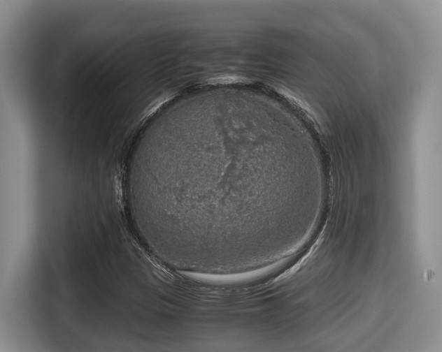 X0000115351305200911101128