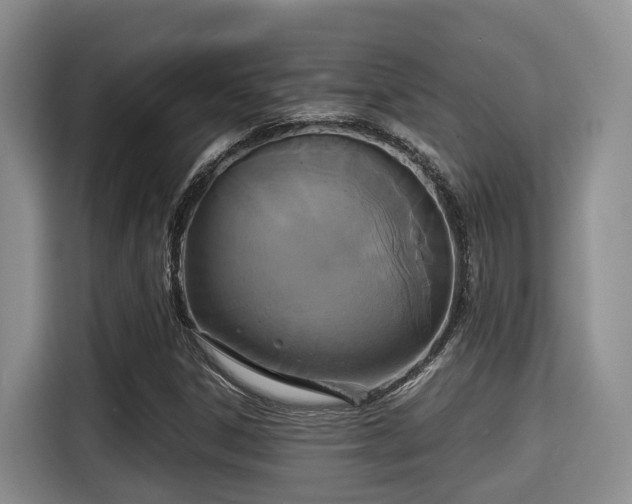 X0000115351306200911101128