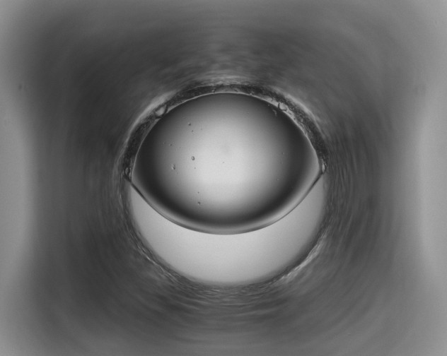 X0000115351309200911101128