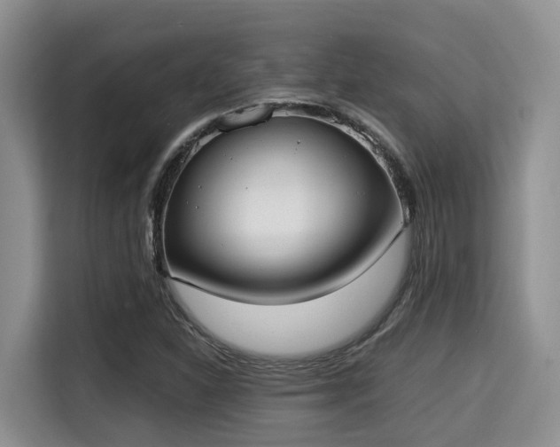X0000115351310200911101128