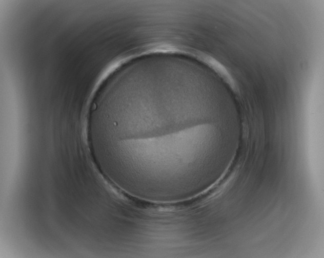 X0000115351326200911101128
