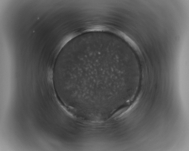 X0000115351329200911101128