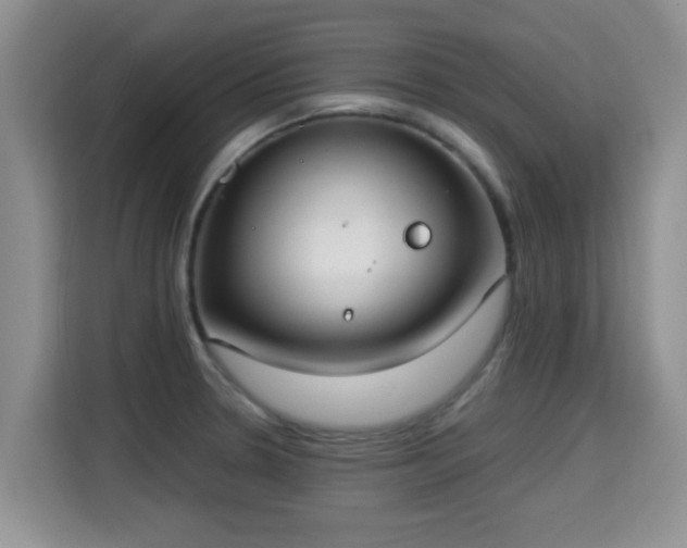 X0000115351330200911101128