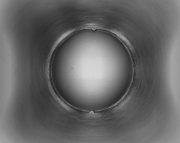 X0000115351333200911101128