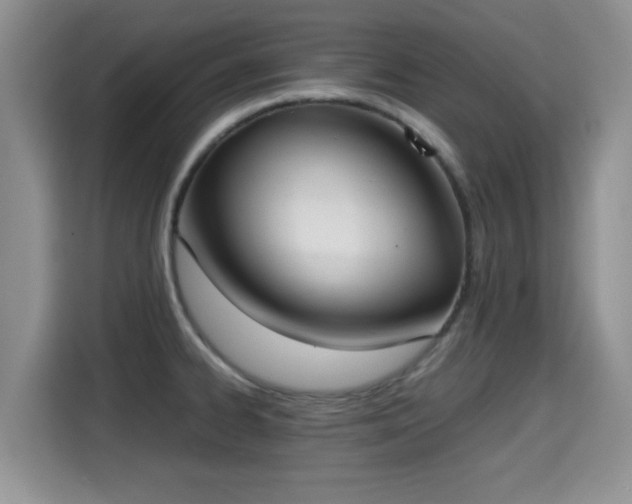 X0000115351334200911101128