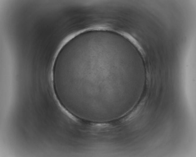 X0000115351335200911101128