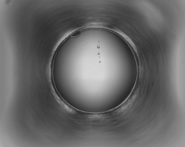X0000115351341200911101128