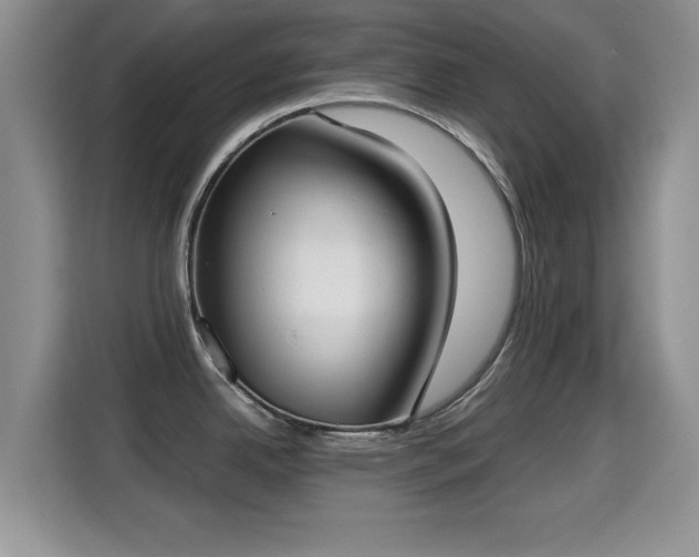 X0000115351342200911101128