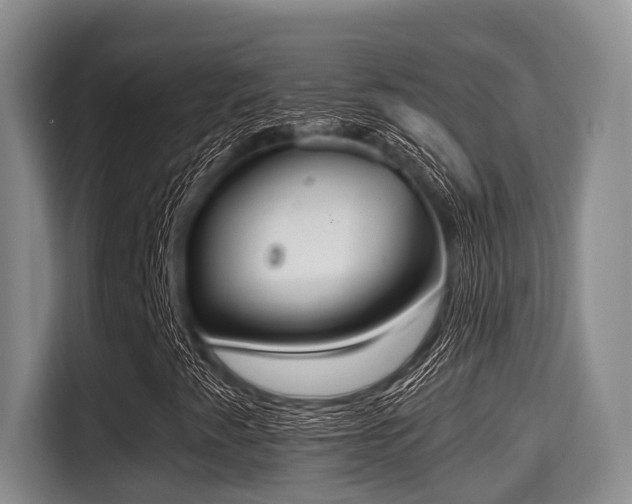 X0000115351345200911101128