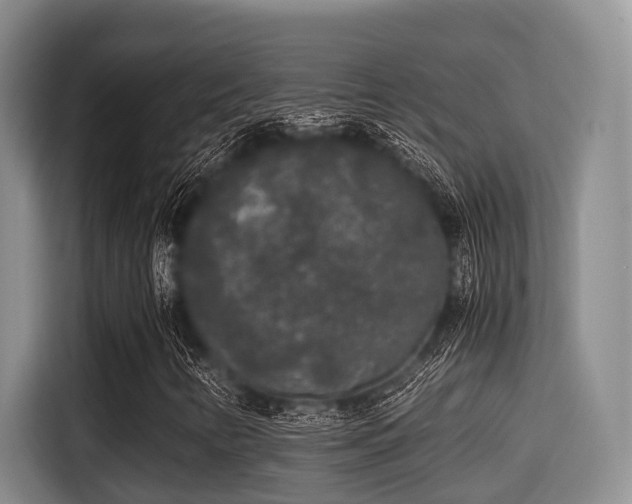 X0000115351346200911101128
