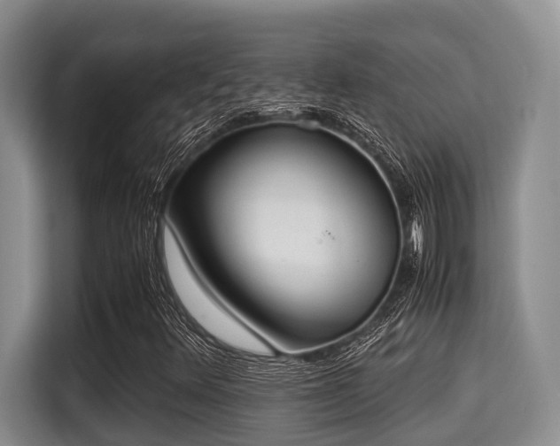 X0000115351348200911101128