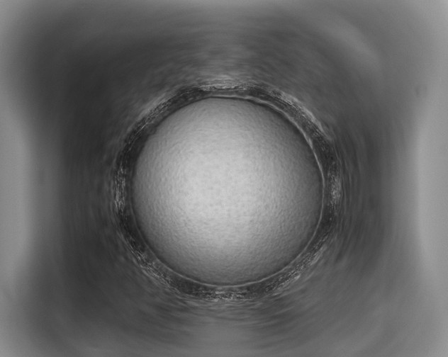 X0000115351350200911101128