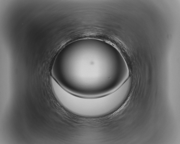 X0000115351353200911101128