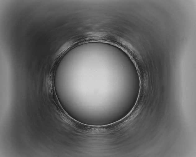 X0000115351354200911101128